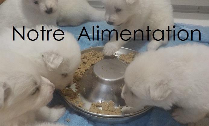 Notre Alimentation